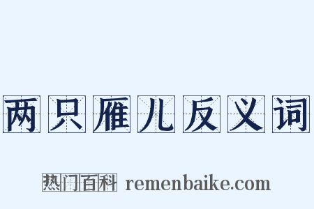 两只雁儿反义词是什么意思的图片